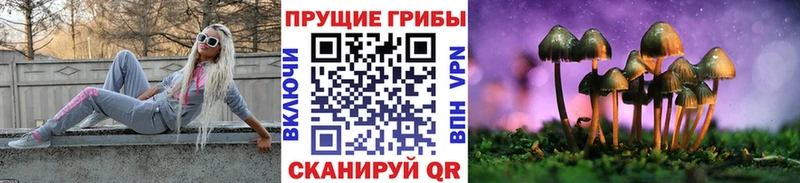 Псилоцибиновые грибы GOLDEN TEACHER  где найти   нарко площадка официальный сайт  Балашиха 