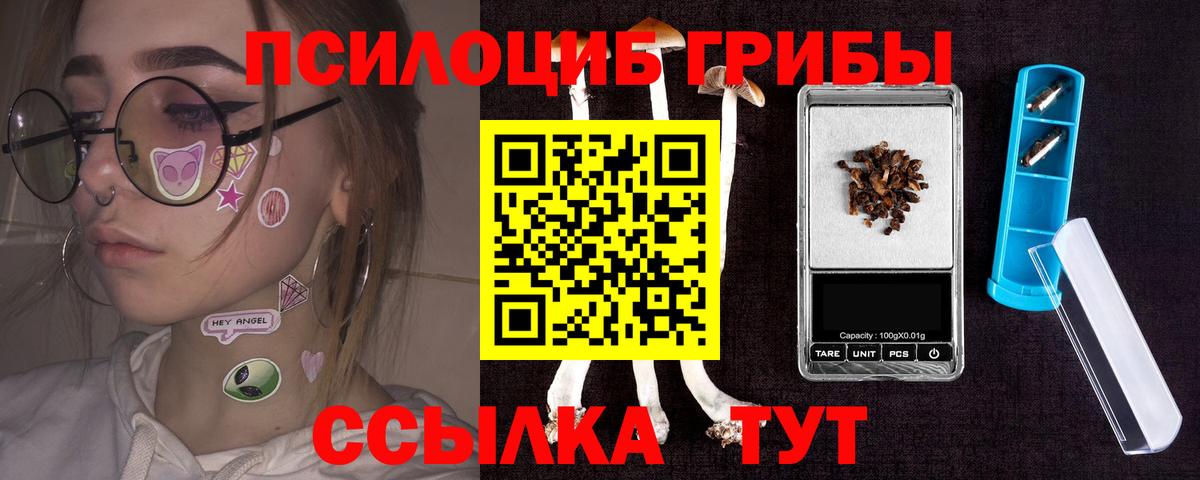 Псилоцибиновые грибы мухоморы  Вход с VPN  купить  сайты  Псилоцибиновые грибы Cubensis  Балашиха 