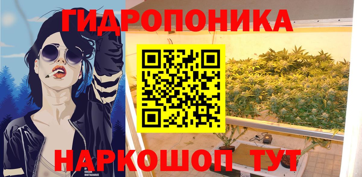 Бошки марихуана план  Вход с VPN  Шишки марихуана гибрид  Бошки марихуана план  Балашиха 